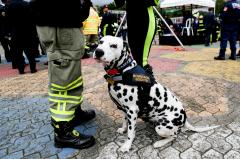 Buscan a ciudadano estadounidense desaparecido en el cerro de Guadalupe, en Bogotá